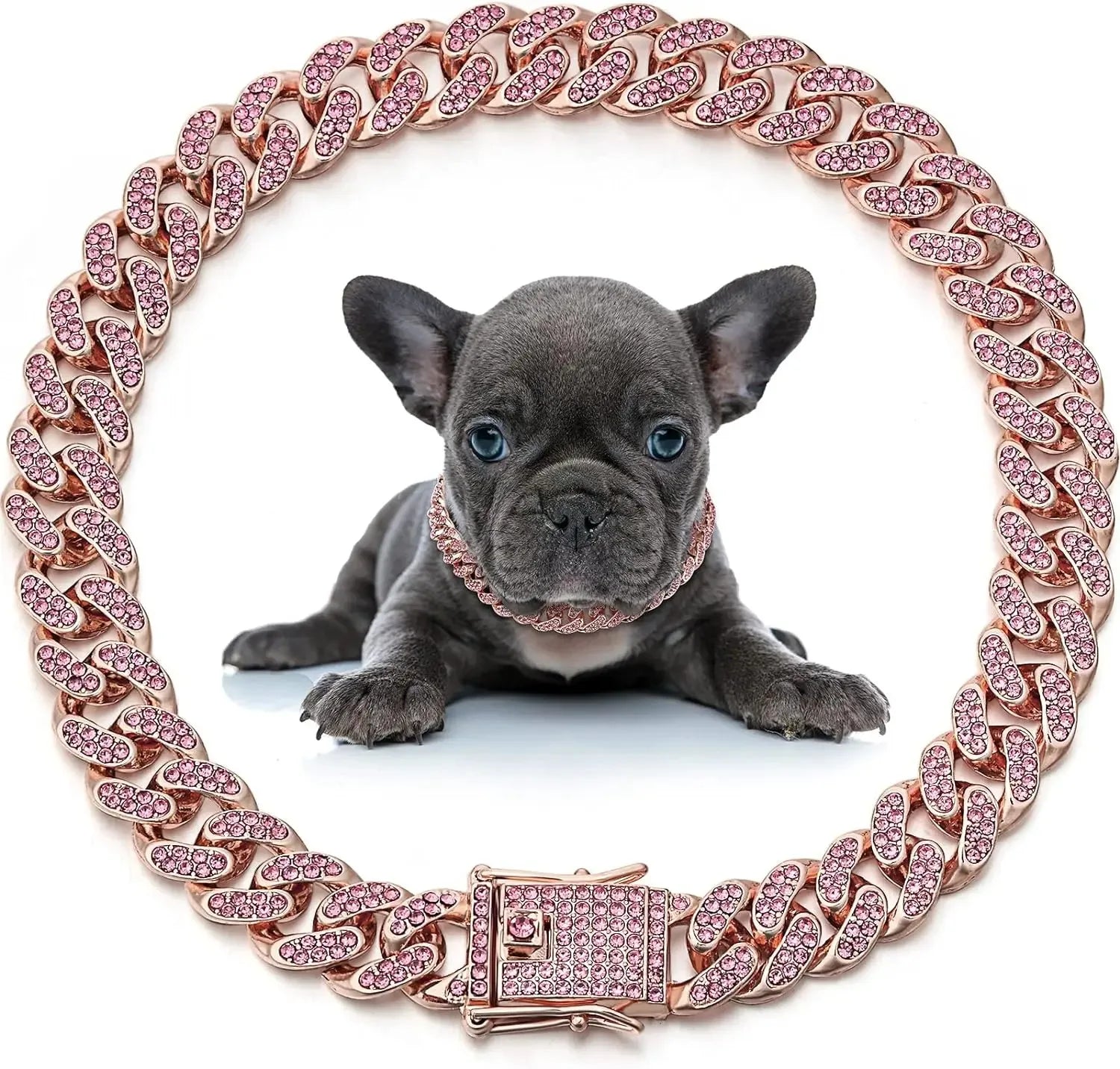 Pet Cuban Link Chain – Bruno's Place - Main Image