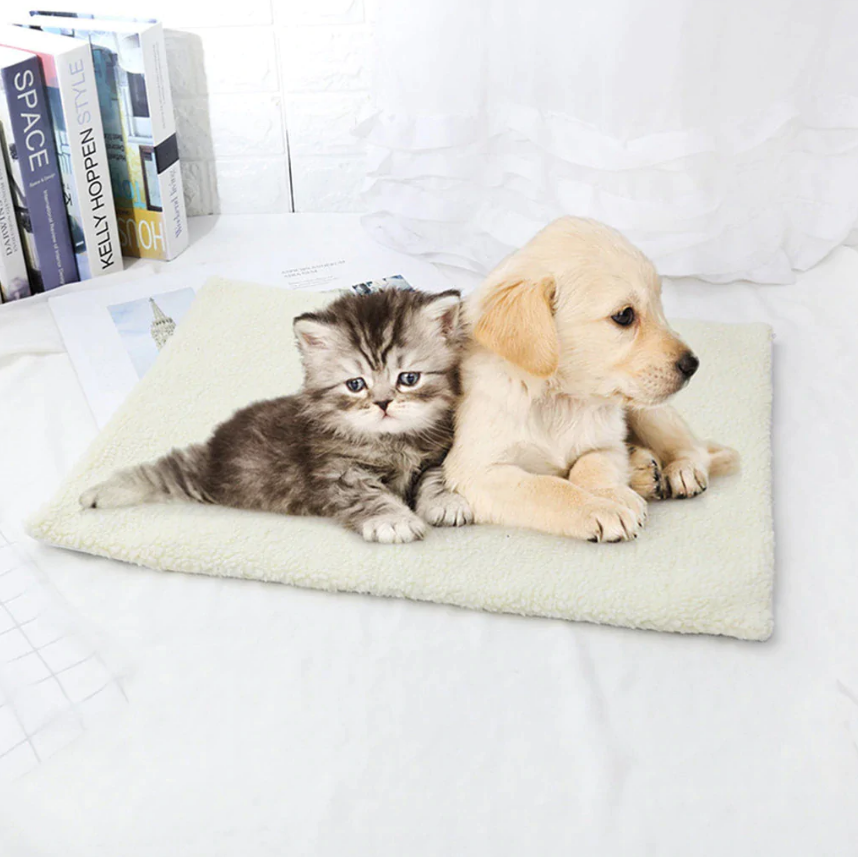 Self Heating Pet Blanket Bruno s Place