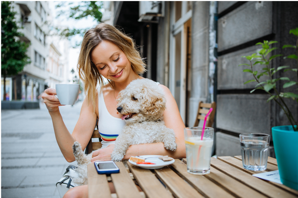 10 Pet-Friendly Restaurants, Cafes, and Bars in NYC