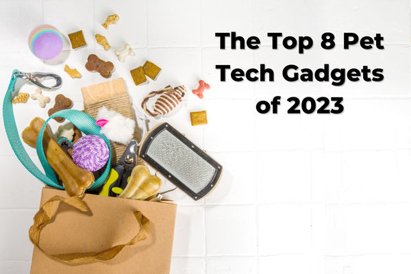 The Top Tech Gadgets for Pets in 2023.