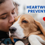 Heartworm Awareness Month: Preventing Heartworm Disease in Pets!