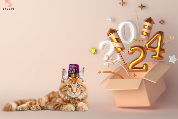 New Year, New Us: Resolution Ideas for a Pawsome New Year!