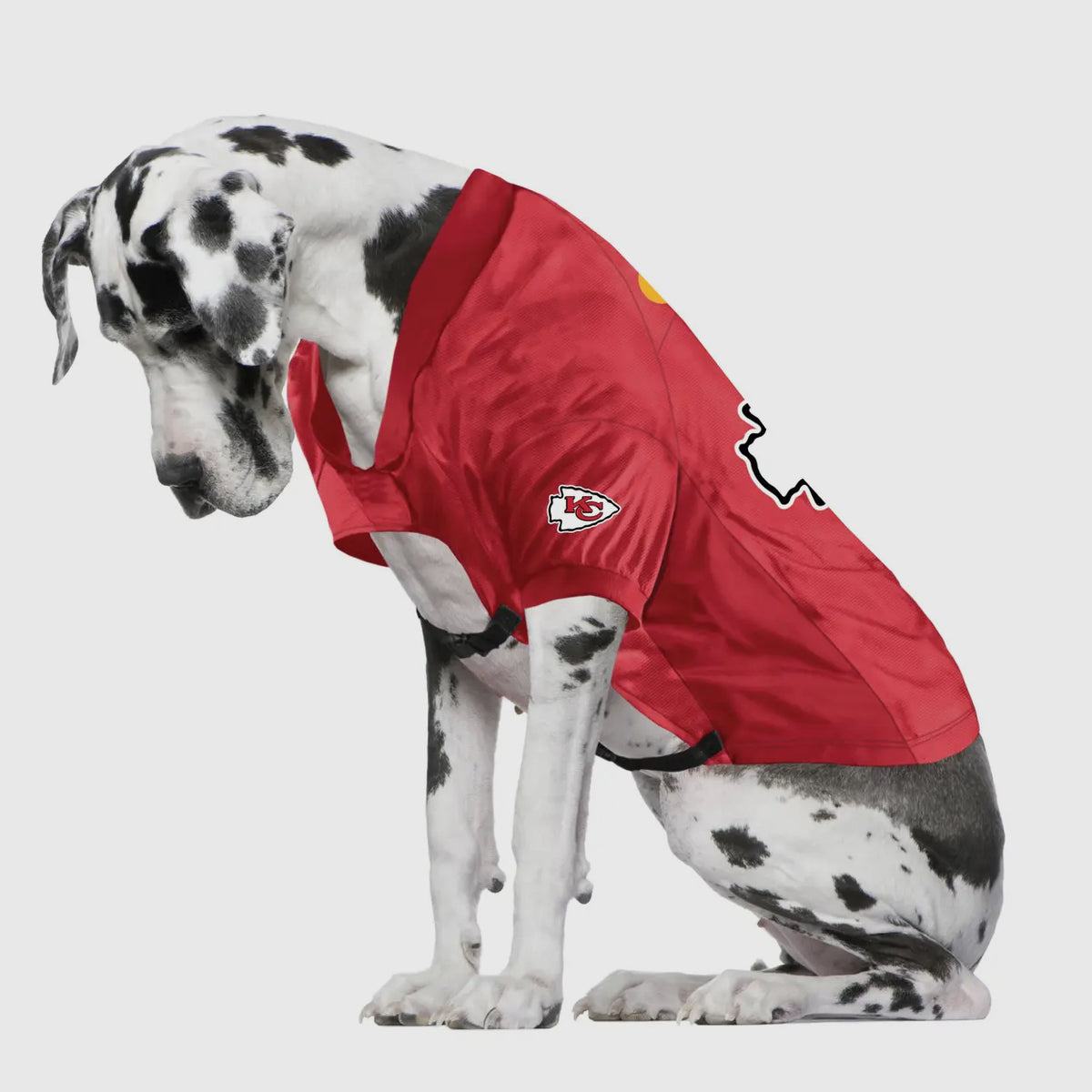 NFL Kansas City Chiefs Pet Stretch Jersey