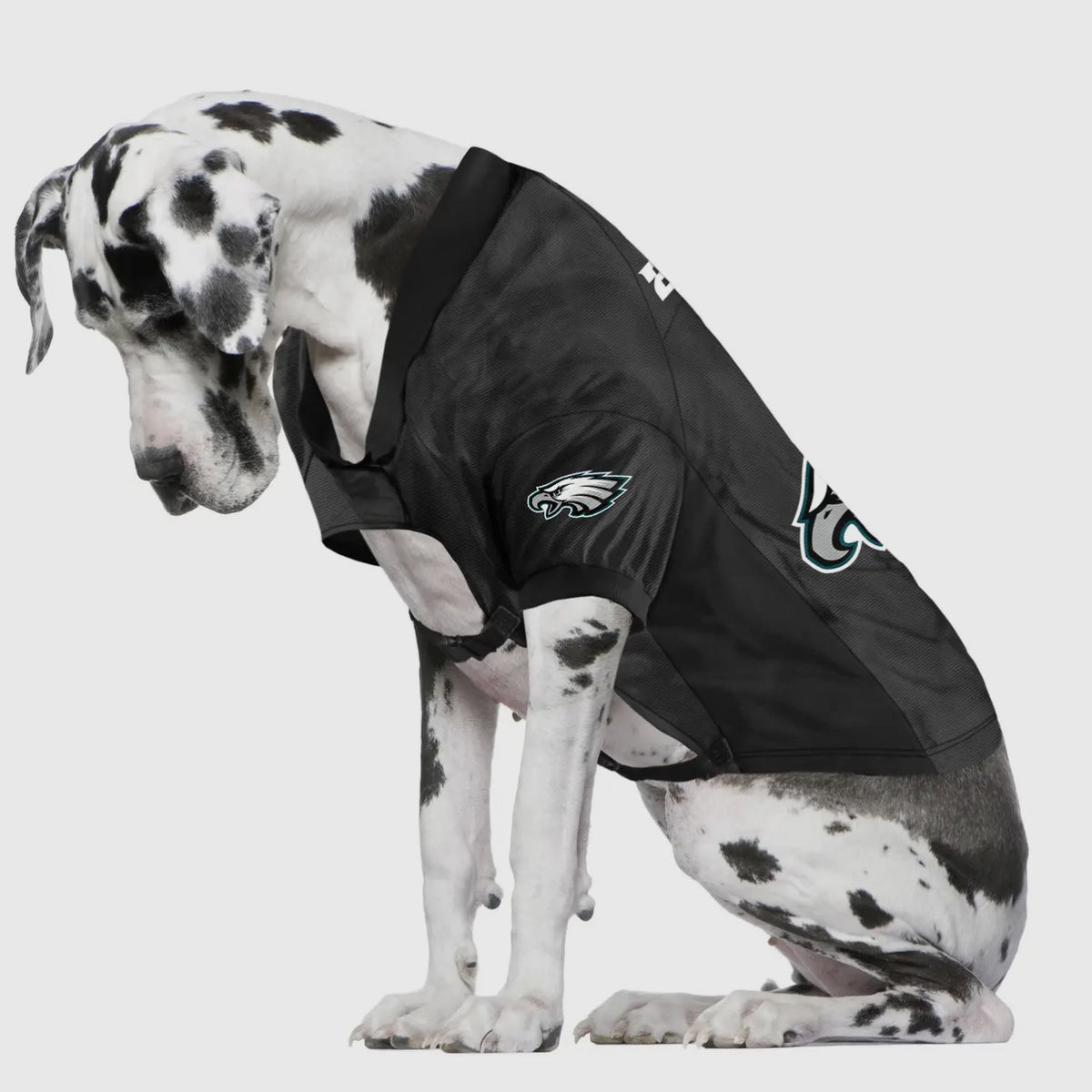 NFL Philadelphia Eagles Pet Stretch Jersey