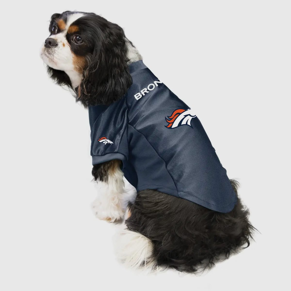 NFL Denver Broncos Pet Stretch Jersey