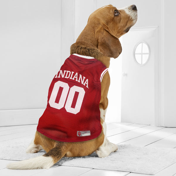 NCAA Indiana Hoosiers Basketball Dog & Cat Mesh Jersey