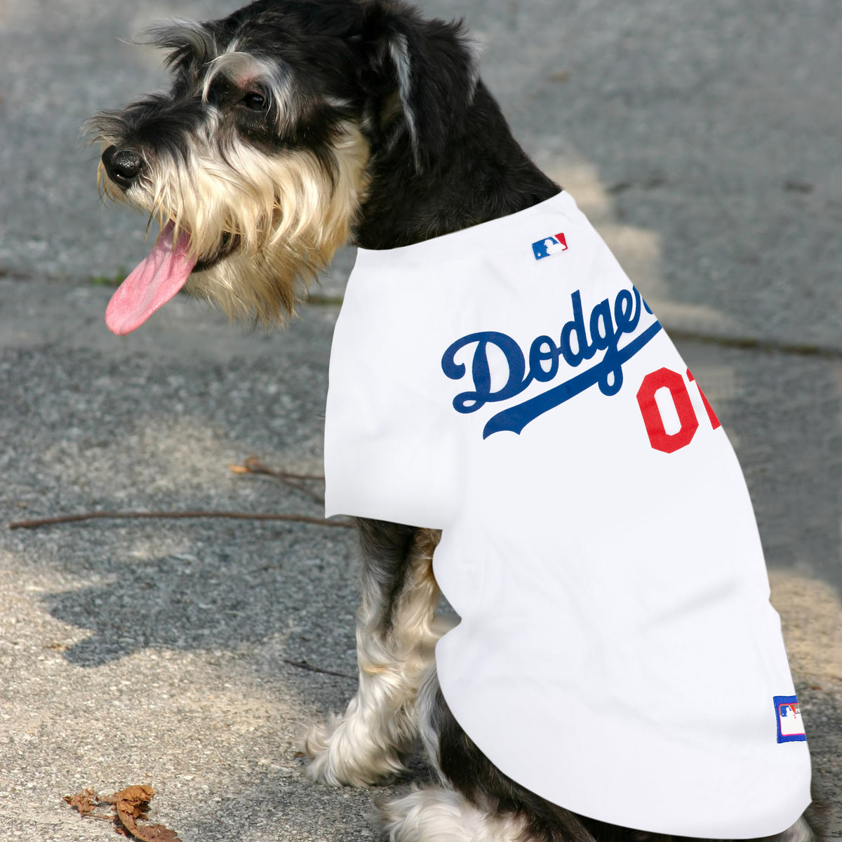 Dodgers Mlb Dodger Dog Sweater LA Dodgers MLB Pet Jersey – Bruno's