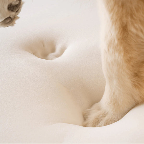 Waterproof Memory Foam Dog Bed - Brown Faux Cowhide