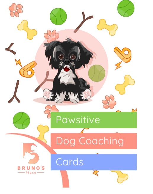 Bruno’s Pawsitive Dog Coaching Card Game