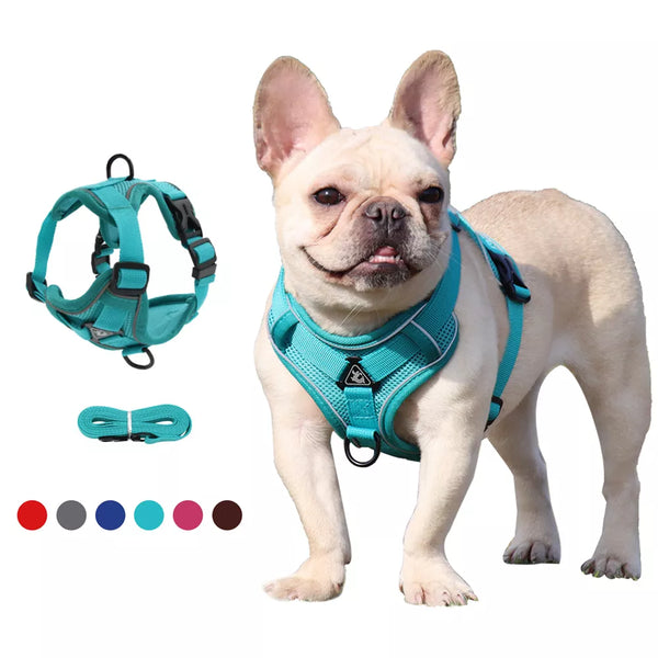 Dog Harness with 1.5m Traction Leash Set w/ Adjustable Reflective Breathable Harness