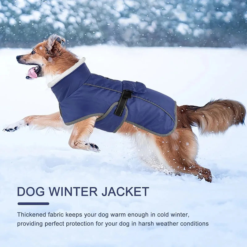 Winter Coat for Large Dogs