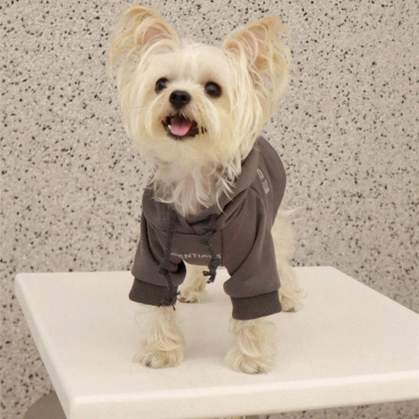 Luxury Hooded Dog Sweatshirt