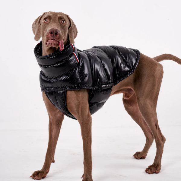 Luxury Puffer Vest