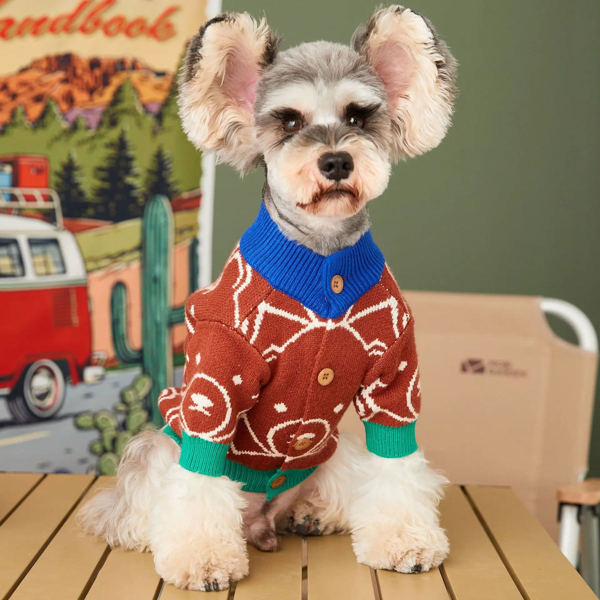 Teddy Bear Dog Cardigan