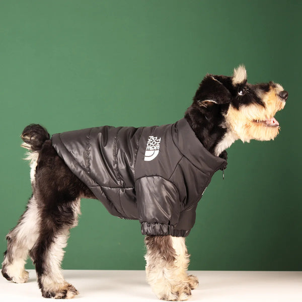 "The Dog Face" Down Puffer Jacket