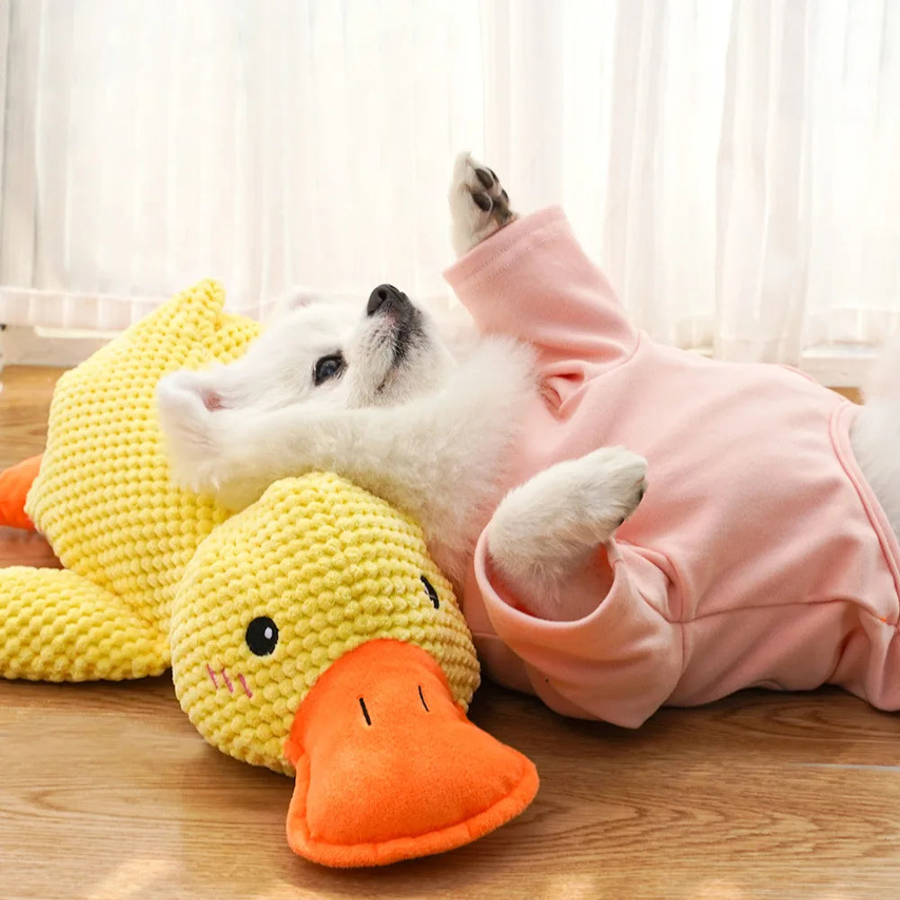 Duck Squeaky Plush Toy