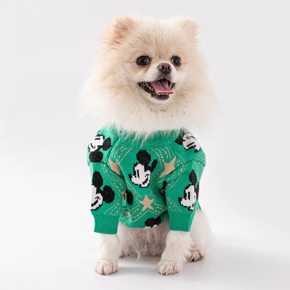 Disney Pullover Dog Sweater