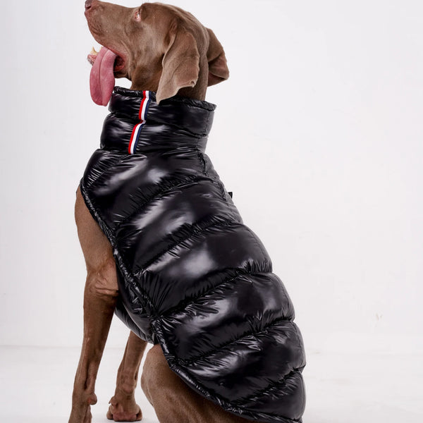 Luxury Puffer Vest
