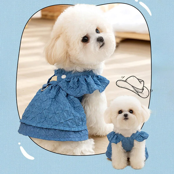 Denim Dog Dress