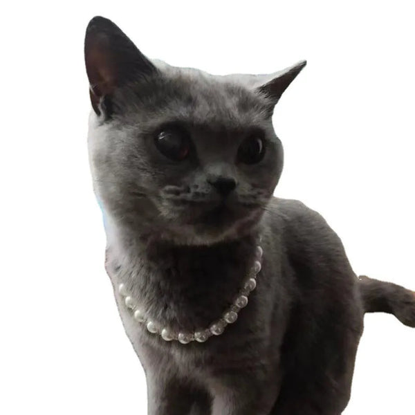 Pet Pearl Necklace