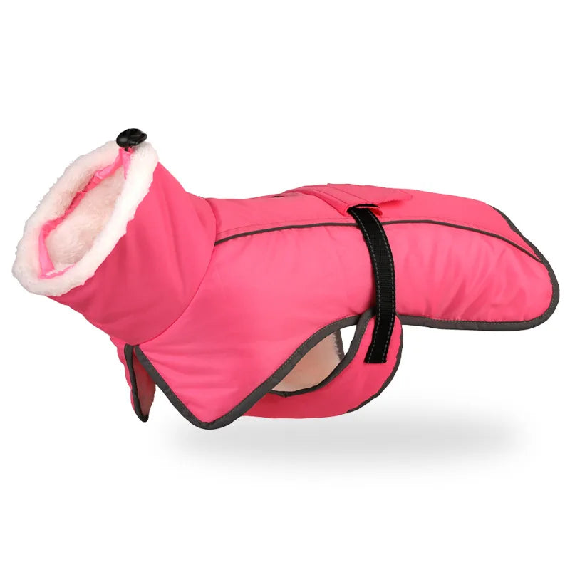 Winter Coat for Large Dogs