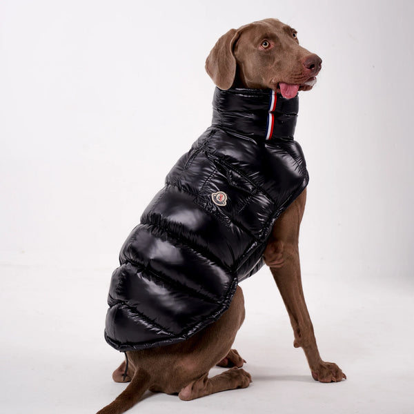 Luxury Puffer Vest