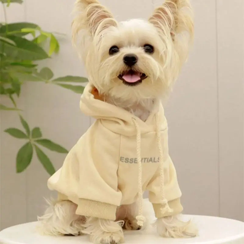 Luxury Hooded Dog Sweatshirt