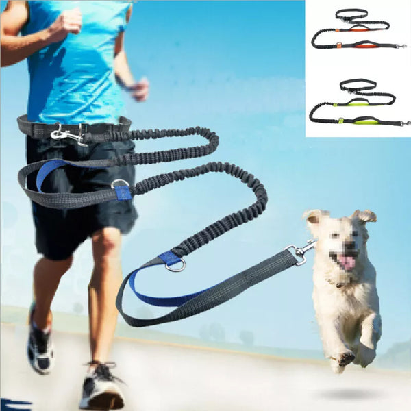 Reflective Leash Dog Running Belt