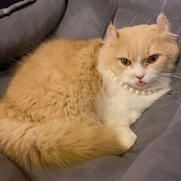 Pet Pearl Necklace