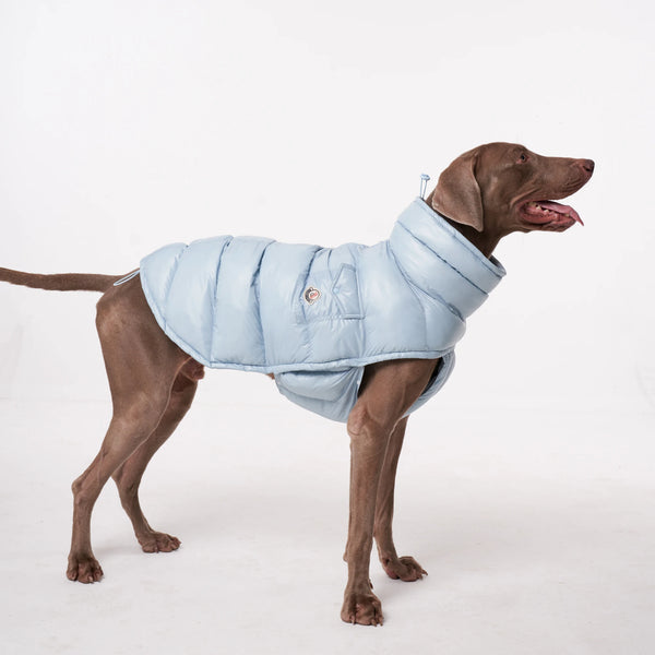 Luxury Puffer Vest