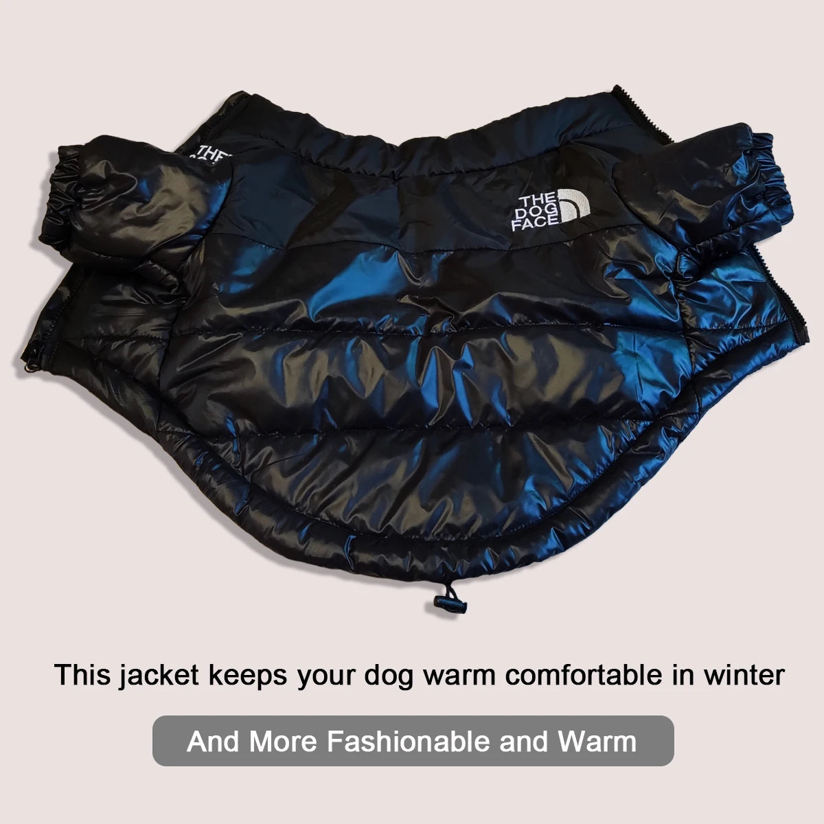 "The Dog Face" Down Puffer Jacket