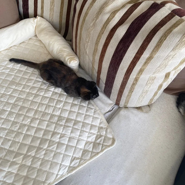 Velvet Pet Sofa Bed