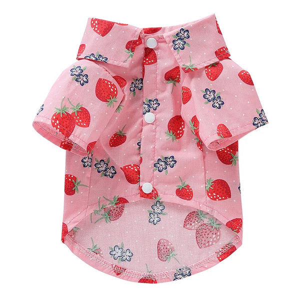 Summer Button Down