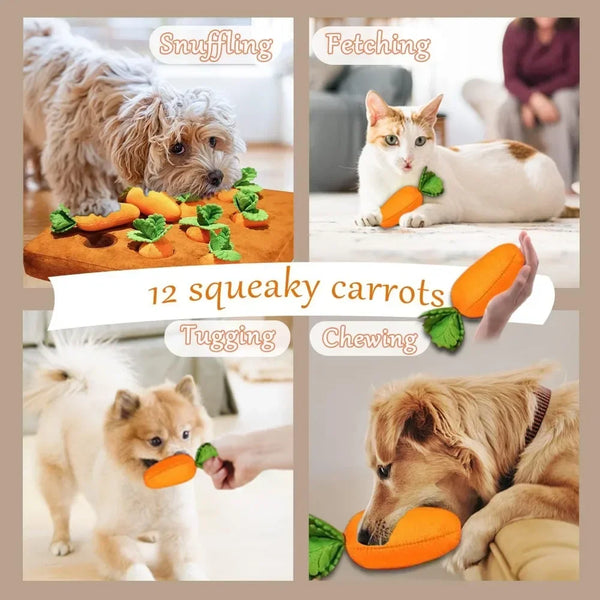 Plush Carrot Puzzle Mat