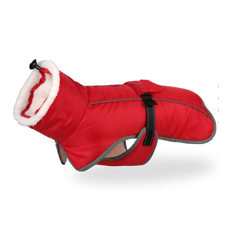 Winter Coat for Large Dogs