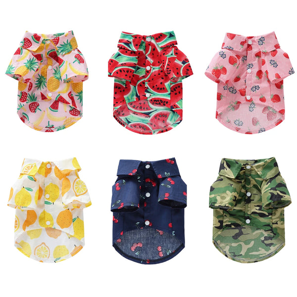 Summer Button Down