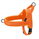  046 Orange