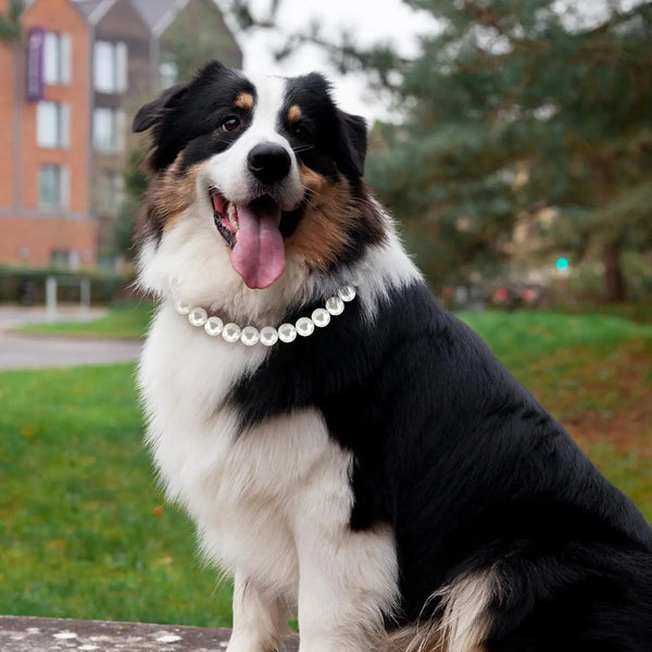 Pet Pearl Necklace