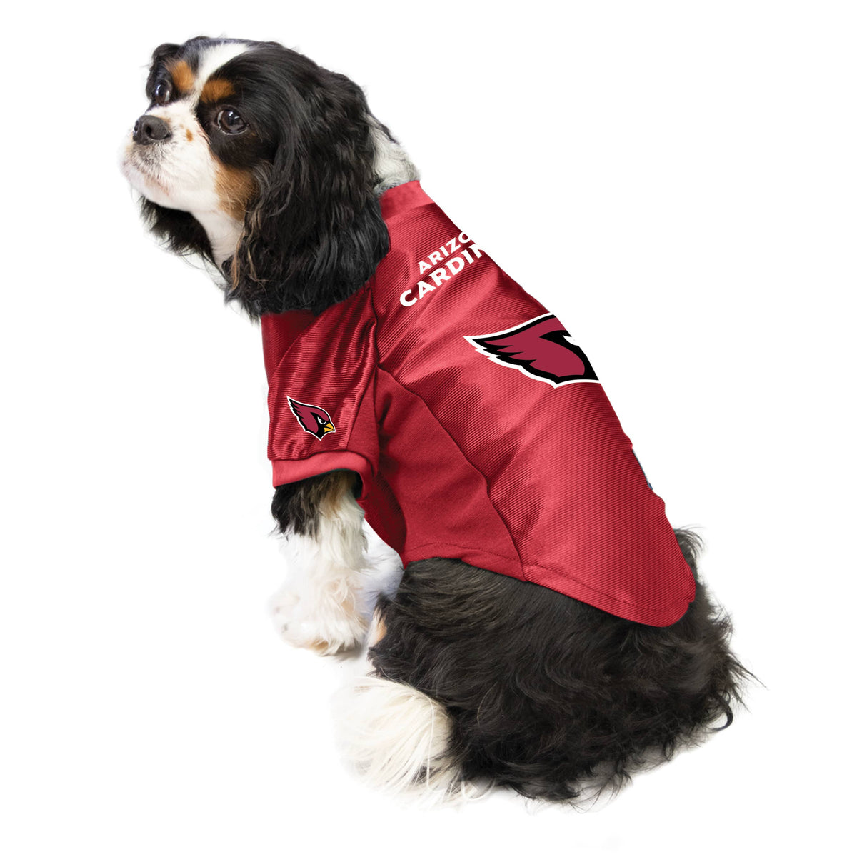 NFL Arizona Cardinals Pet Stretch Jersey