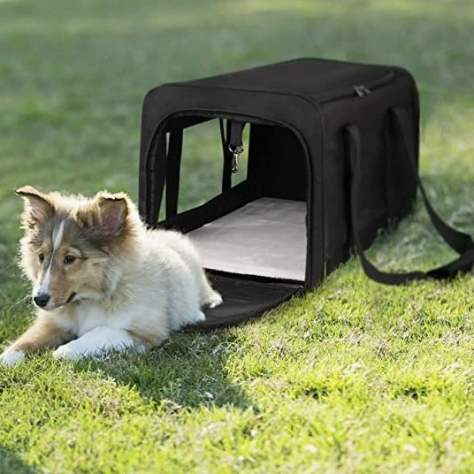 Airline Approved Pet Bag