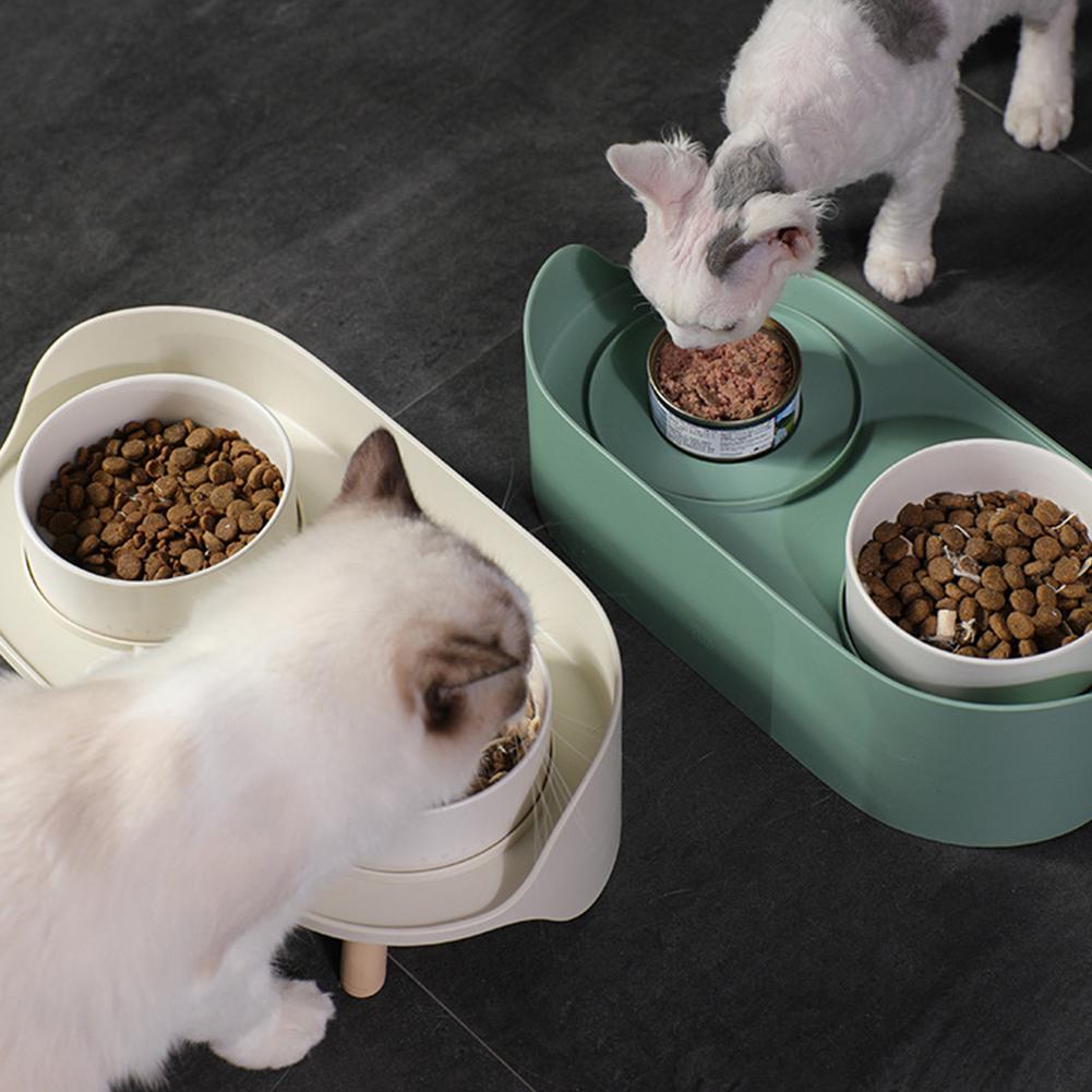 Cats eating from dual elevated feeding bowls.