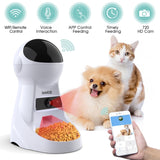 3L automatic feeder next to small dog and cat.