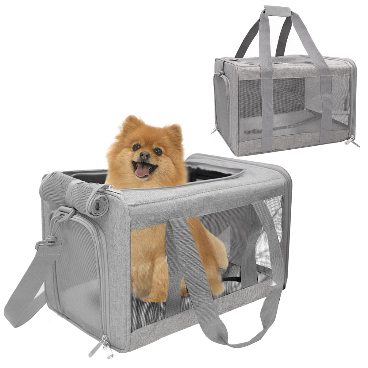 Airline Approved Pet Bag – Bruno's Place
