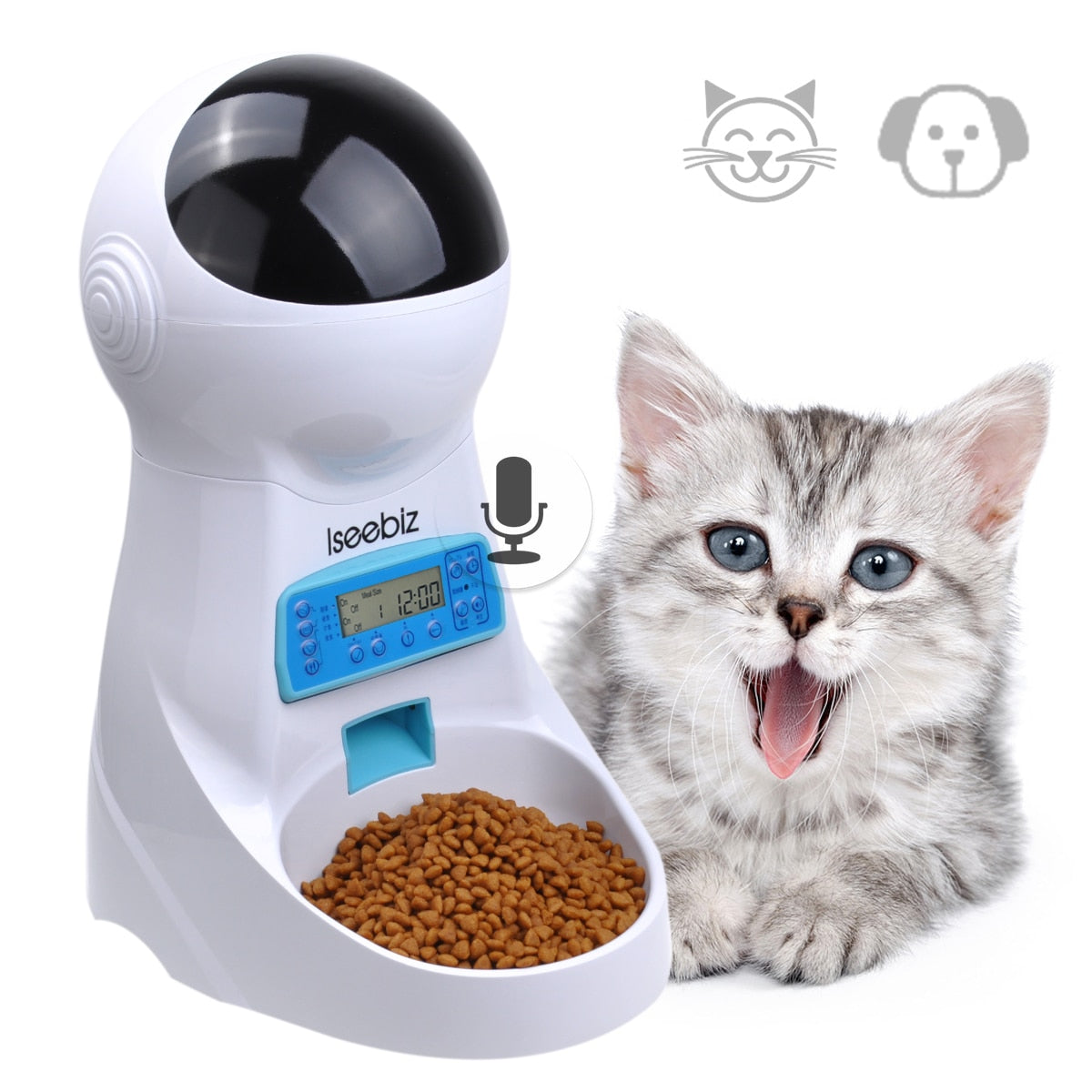 3L automatic feeder next to cat.