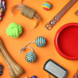 Assortment of dog toys and treats.