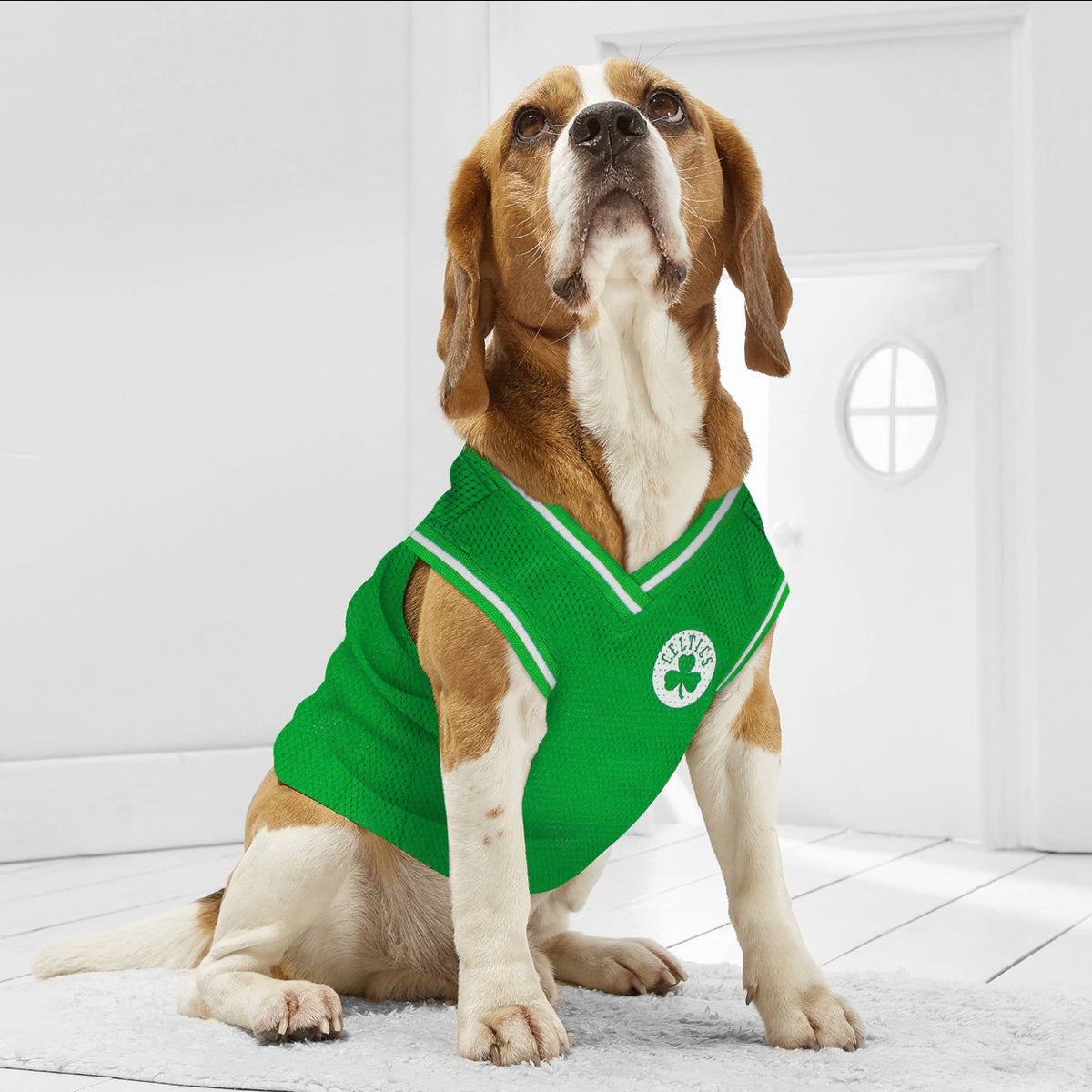 NBA Boston Celtics Mesh Dog & Cat Jersey