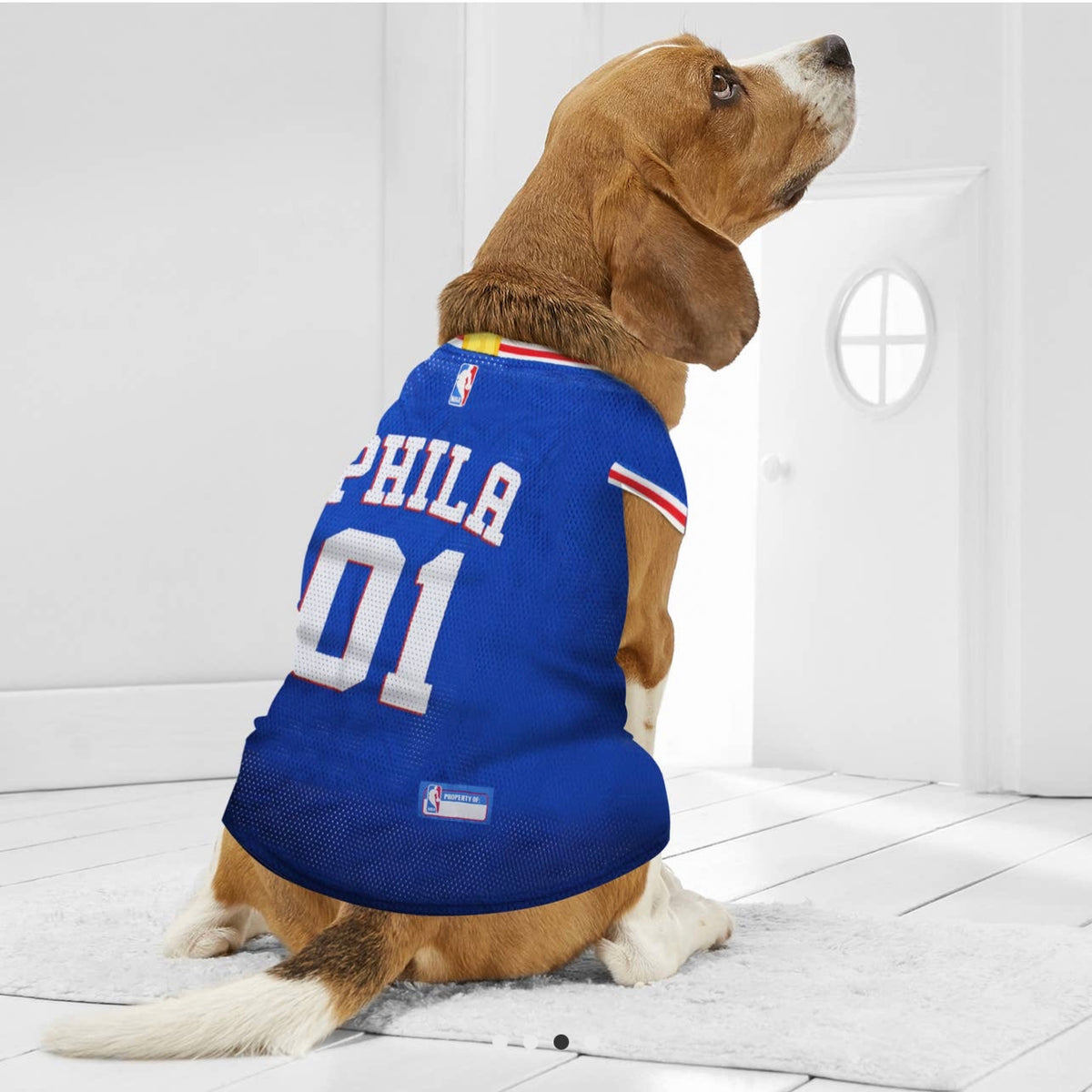 NBA 76ers Basketball Mesh Dog & Cat Jersey